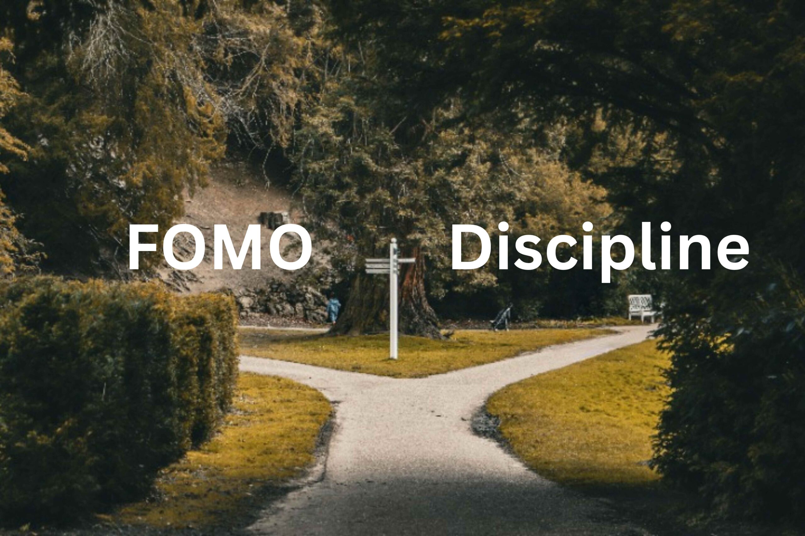two paths diverging, one that leads to discipline, and one that leads to FOMO