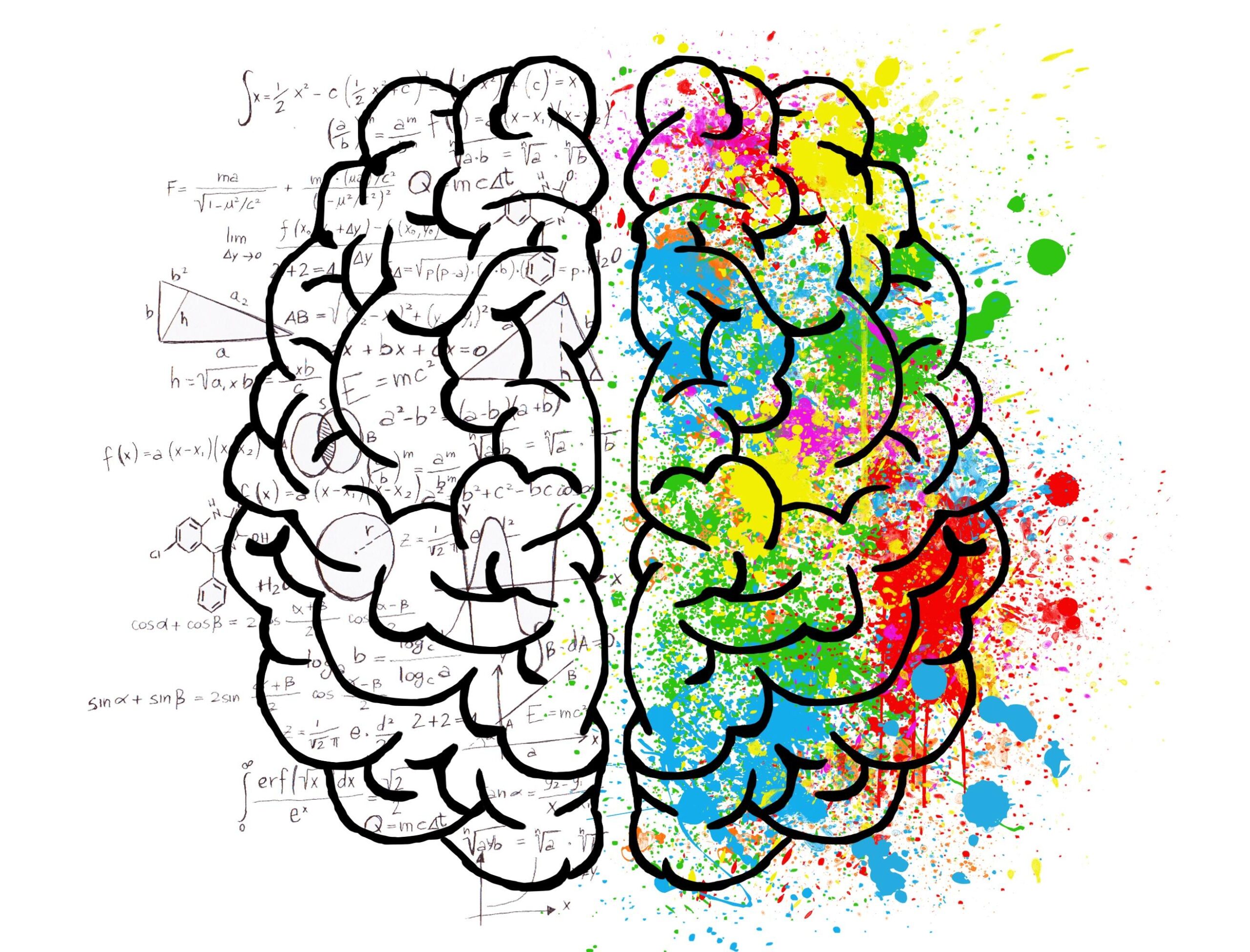 two sides of the same brain, showing the emotional side and analytical side