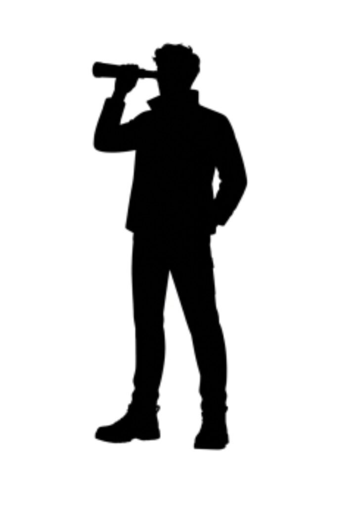 the explorer investor personality type (shadow)
